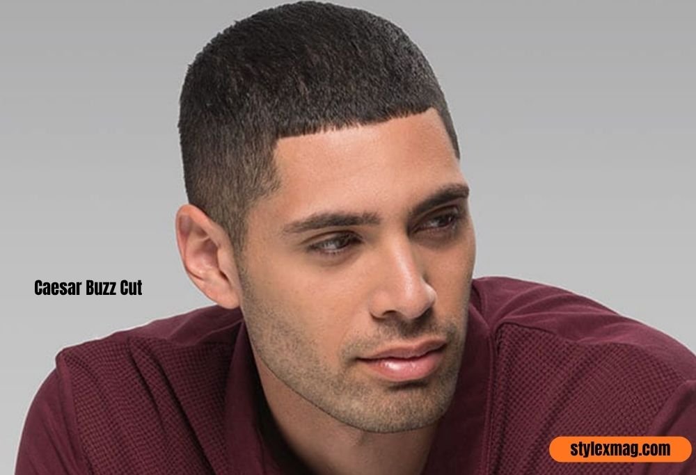 Caesar Buzz Cut