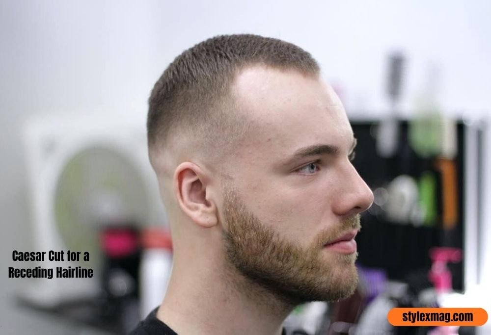 Caesar Cut for a Receding Hairline