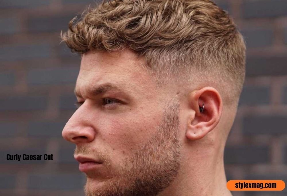 Curly Caesar Cut