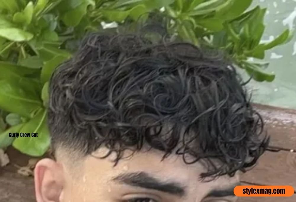 Curly Crew Cut