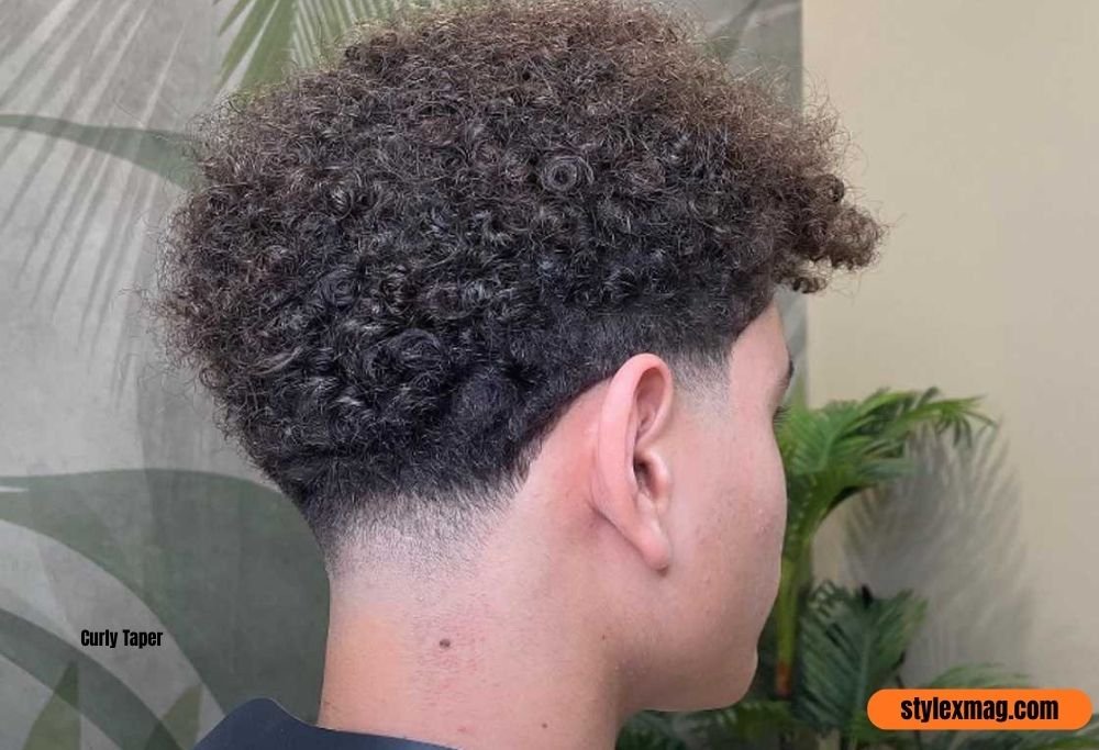 Curly Taper