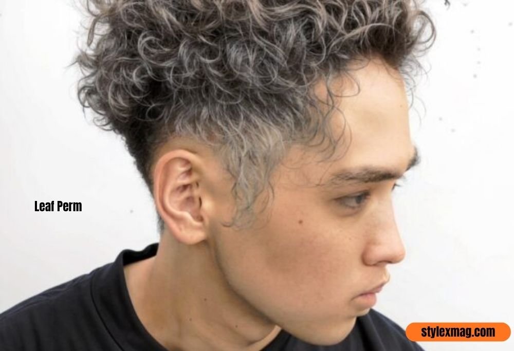 40+ Best Korean Hairstyles for Men to Try in 2026 29 Leaf Perm