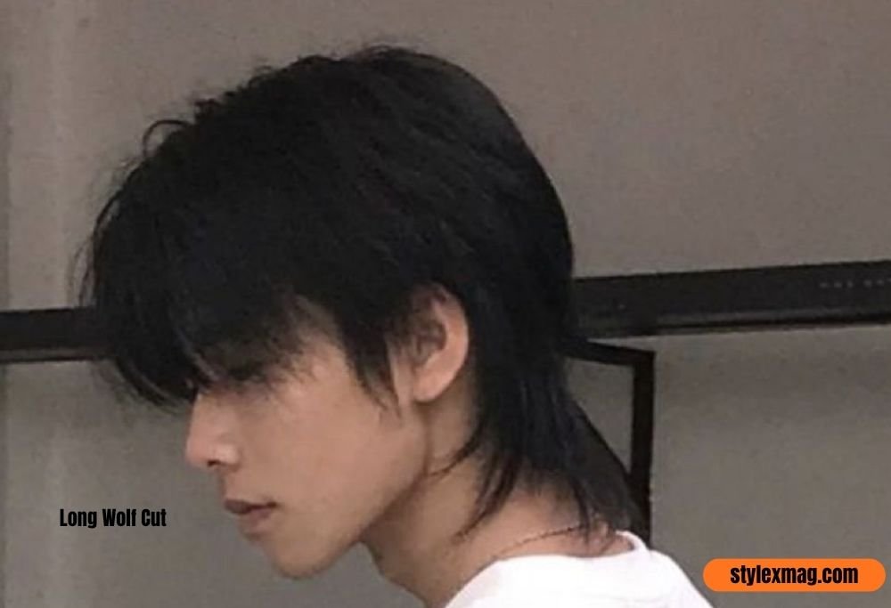 Long Hairstyles for Men: 35 Best Styles for Every Hair Type 20 Long Wolf Cut