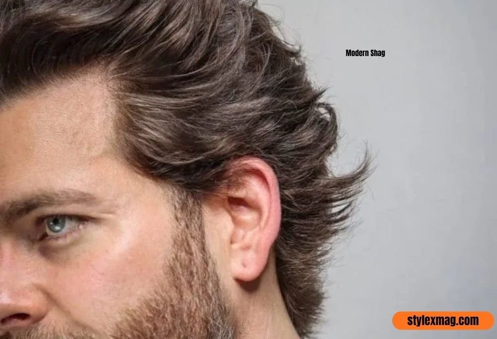 Modern Shag